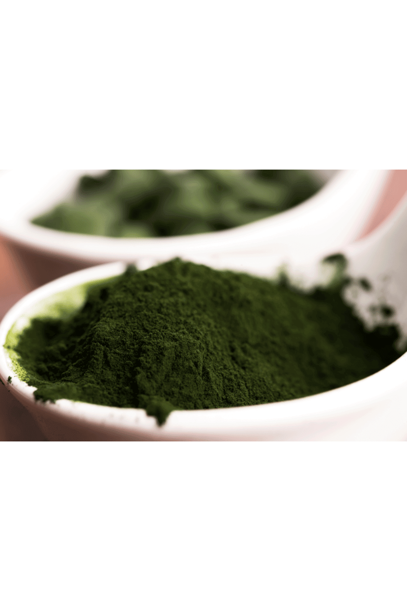 Chlorella: Small Green Alga
