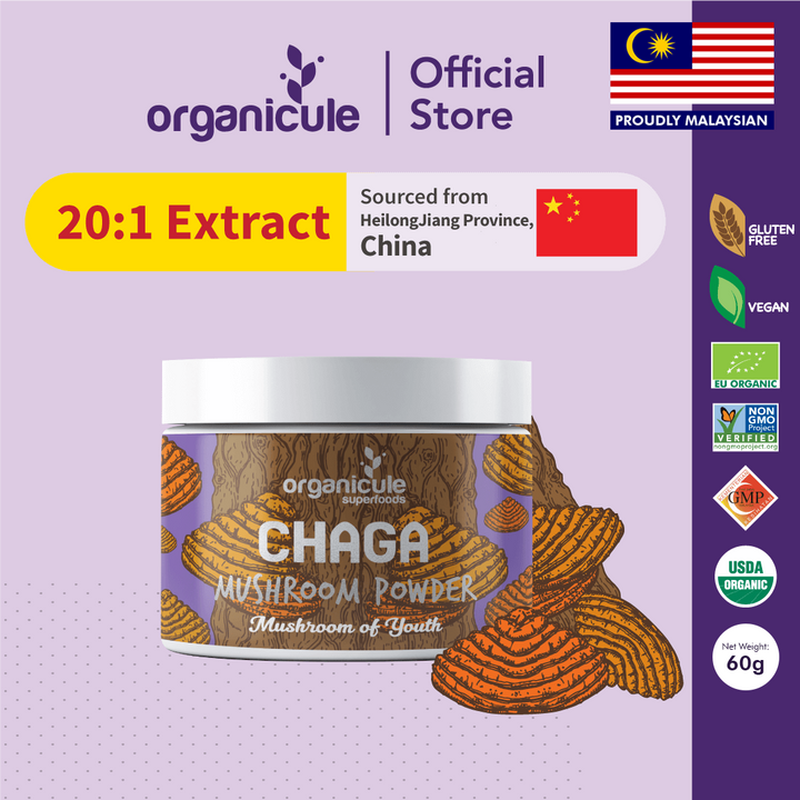 Why Chaga Mushroom Deserves a Spot in Your Routine