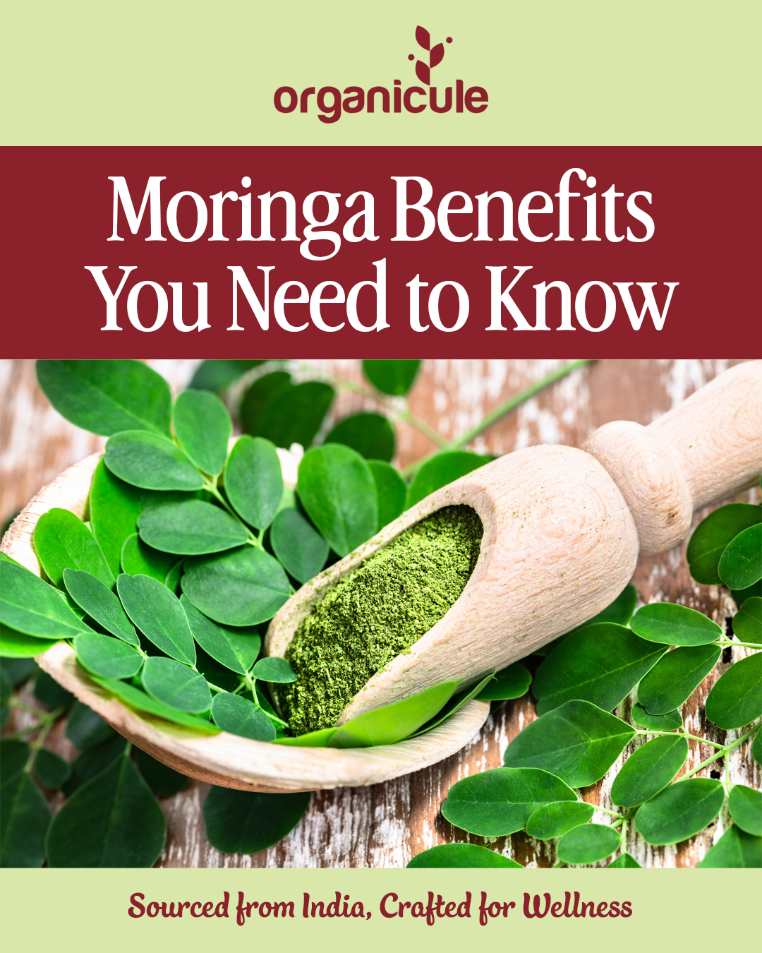 Moringa Benefits You Need to Know