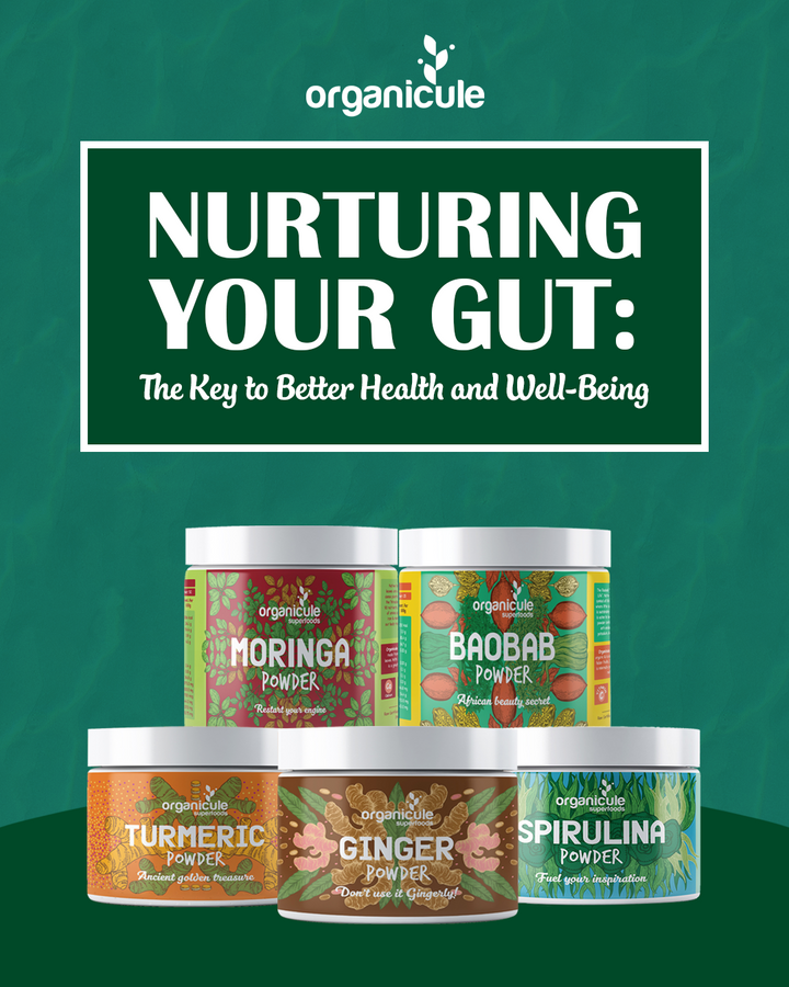 Nurturing Your Gut: The Key to Better Health and Well-Being