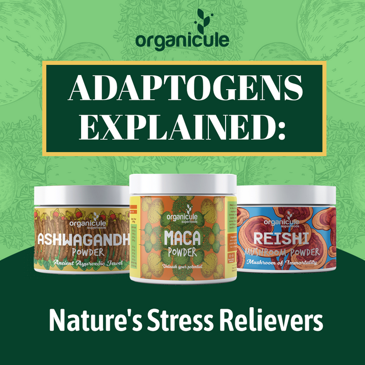 Adaptogens Explained: Nature's Stress Relievers