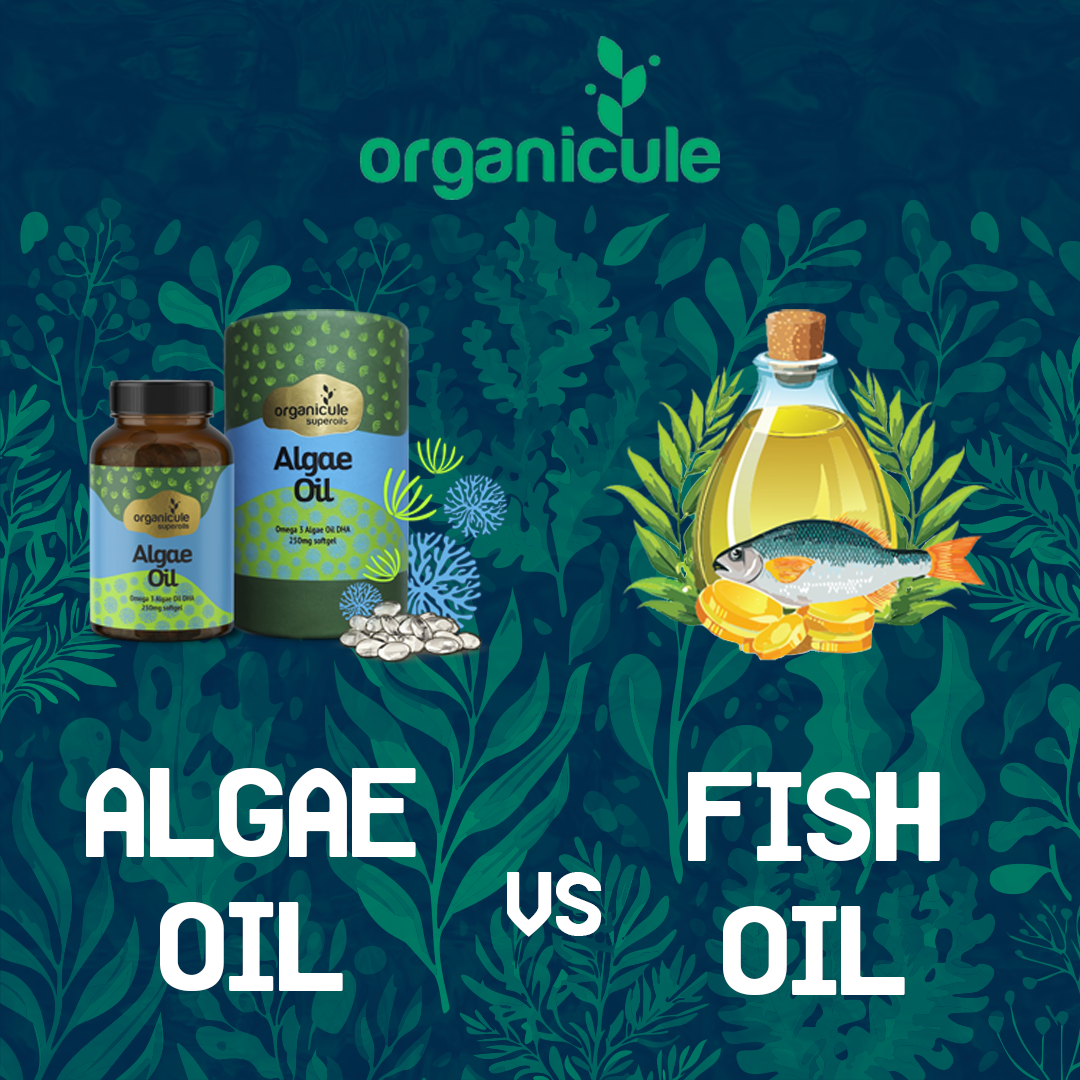 Algae Oil vs. Fish Oil: Which is Better?