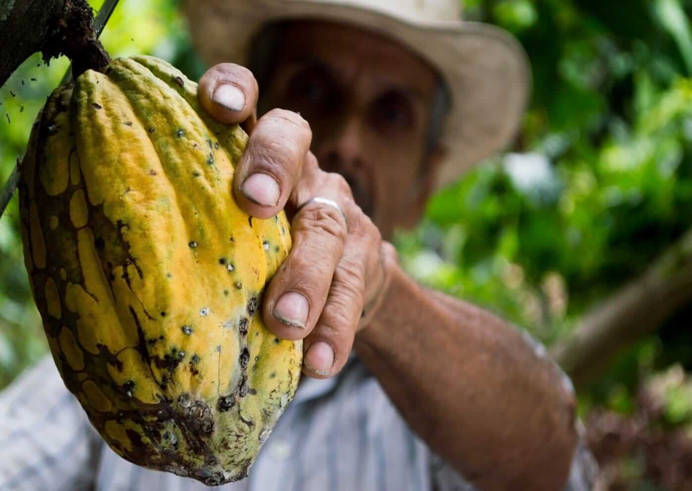 CACAO FOR KIDS: SNACKTIME CAN BE HEALTHIER… AND SWEETER