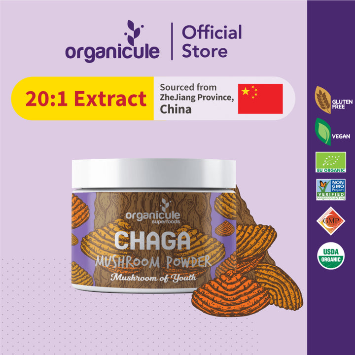 Chaga Mushroom: A Must-Have for Your Health