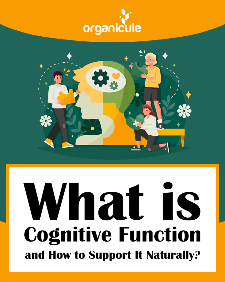 What is Cognitive Function and How to Support It Naturally?