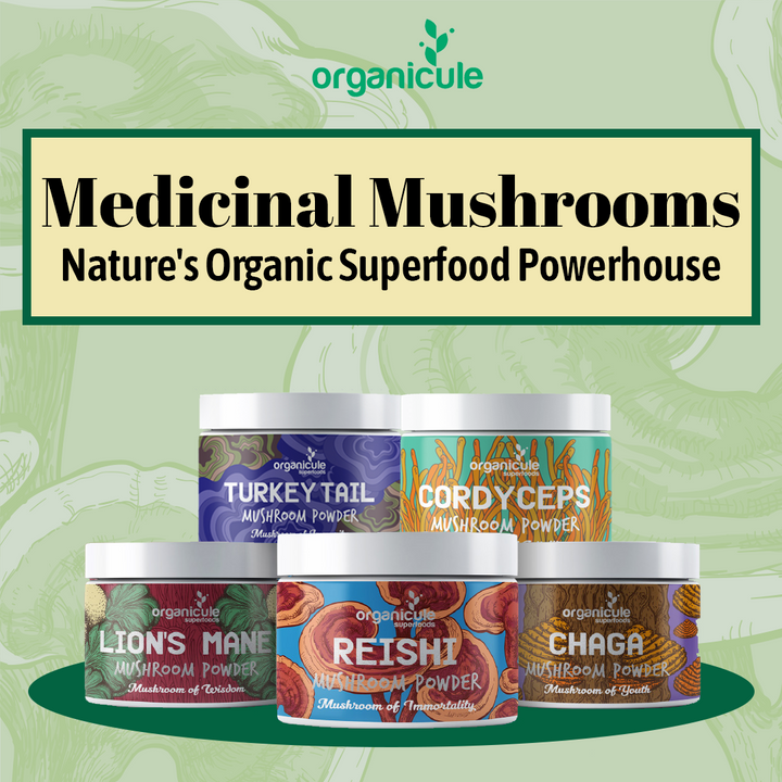 Medicinal Mushrooms: Nature's Organic Superfood Powerhouse