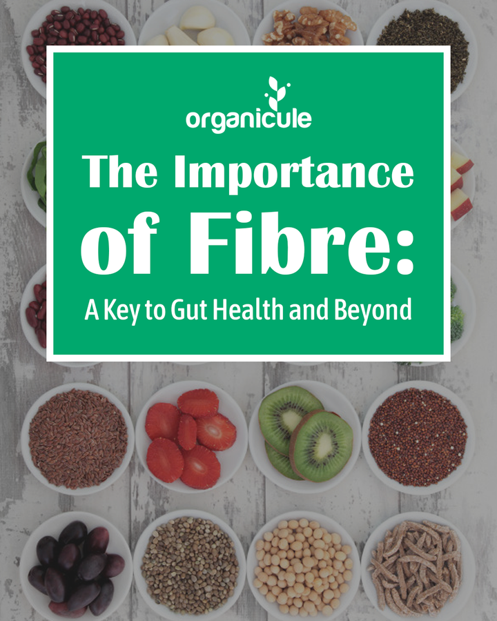 The Importance of Fibre: A Key to Gut Health and Beyond