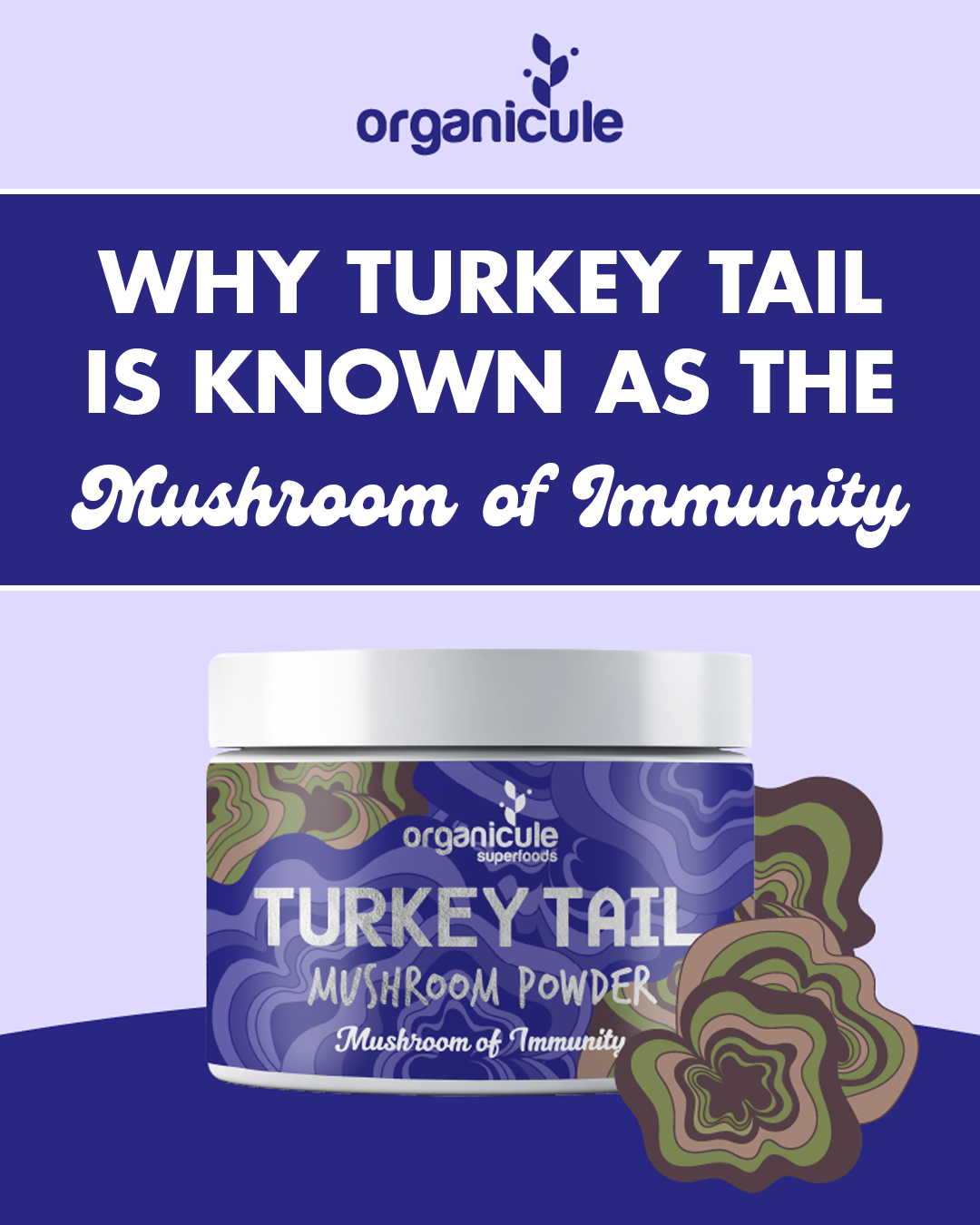 Why Turkey Tail is Known as the Mushroom of Immunity