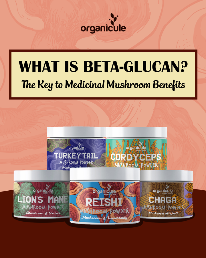 What is Beta-Glucan? The Key to Medicinal Mushroom Benefits