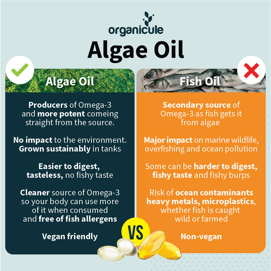 ORGANICULE OMEGA 3 ALGAE OIL DHA 250MG SOFTGEL | Organicule