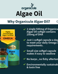 Organicule Omega 3 Algae Oil DHA 250mg Softgel