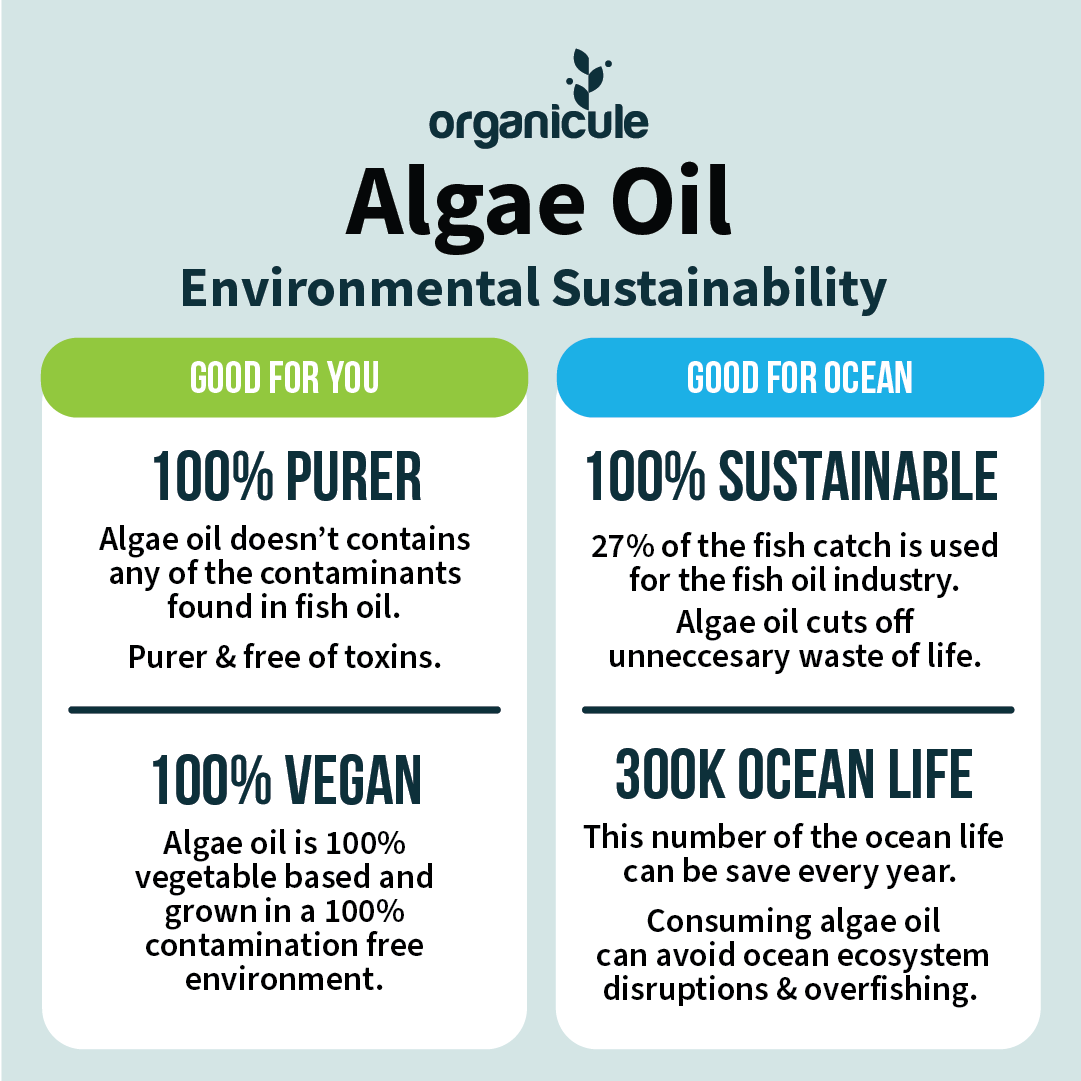 Organicule Omega 3 Algae Oil DHA 250mg Softgel