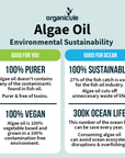 Organicule Omega 3 Algae Oil DHA 250mg Softgel
