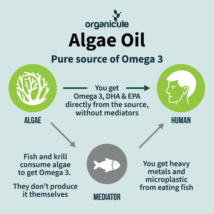 ORGANICULE OMEGA 3 ALGAE OIL DHA 250MG SOFTGEL | Organicule