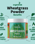 wheatgrass powder